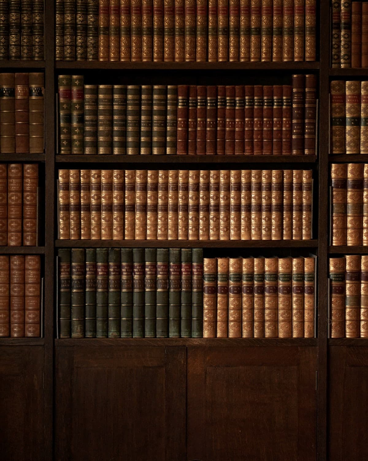 Leather-bound law volumes on a wooden shelf