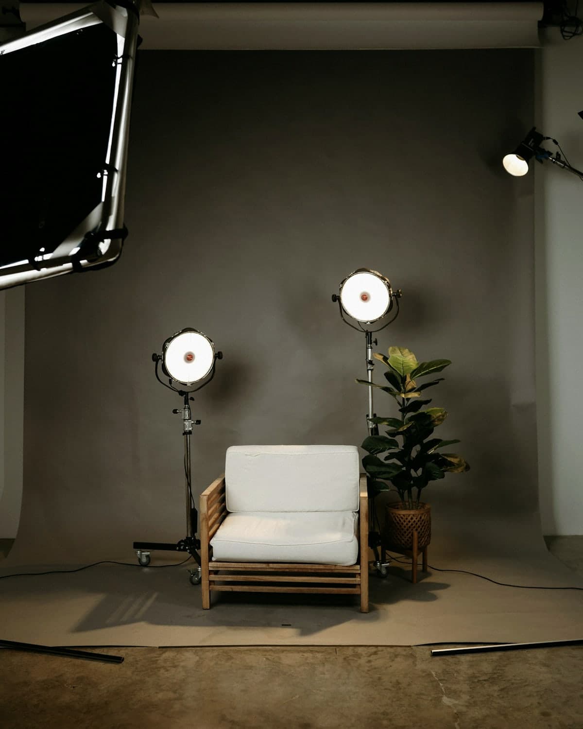 A photography studio set: an armchair, a plant and softboxes