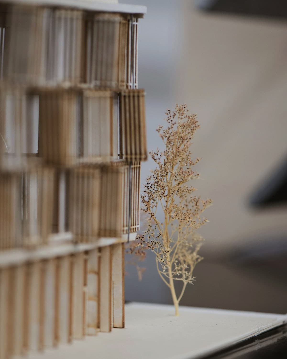 An architectural model of a building with a model tree